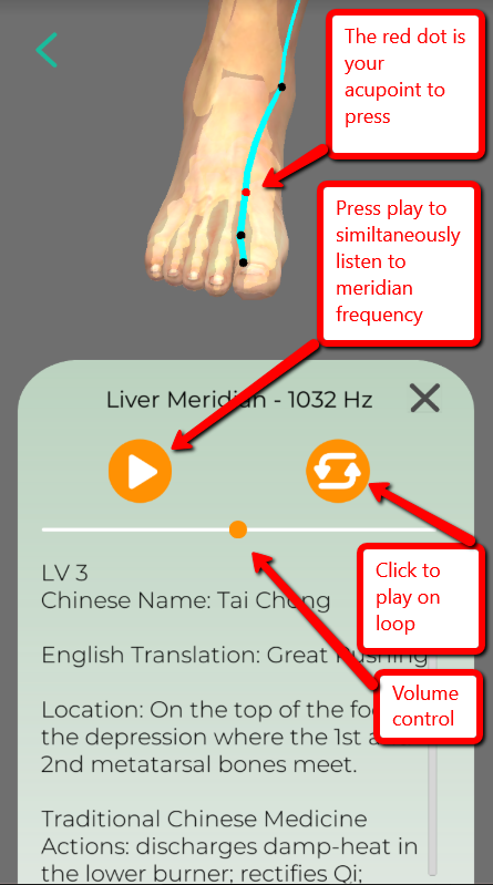HOW TO GET THE MOST OUT OF THE NATURAL SYNERGY APP 3 Mobile app