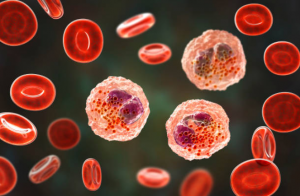 Natural Health And Well-Being - Natural Synergy Blog 26 inflammation