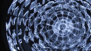 Natural Health And Well-Being - Natural Synergy Blog 9