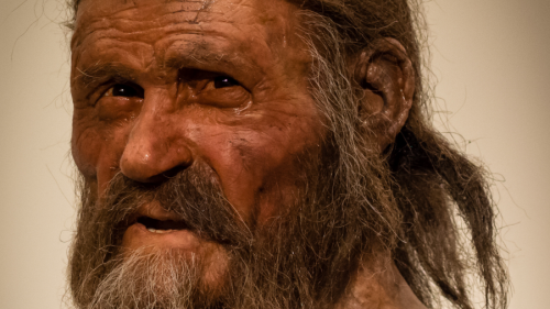 otzi otzi