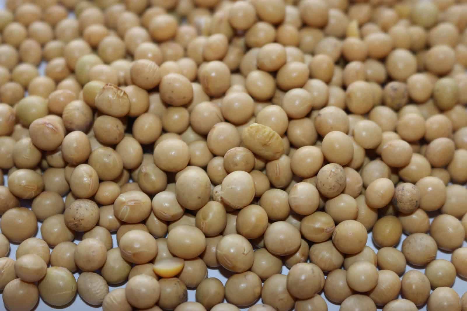 THE ‘HEALTH FOOD’ THAT POISONS 1