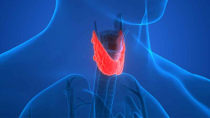 THYROID FACTS EVERYONE SHOULD KNOW 1
