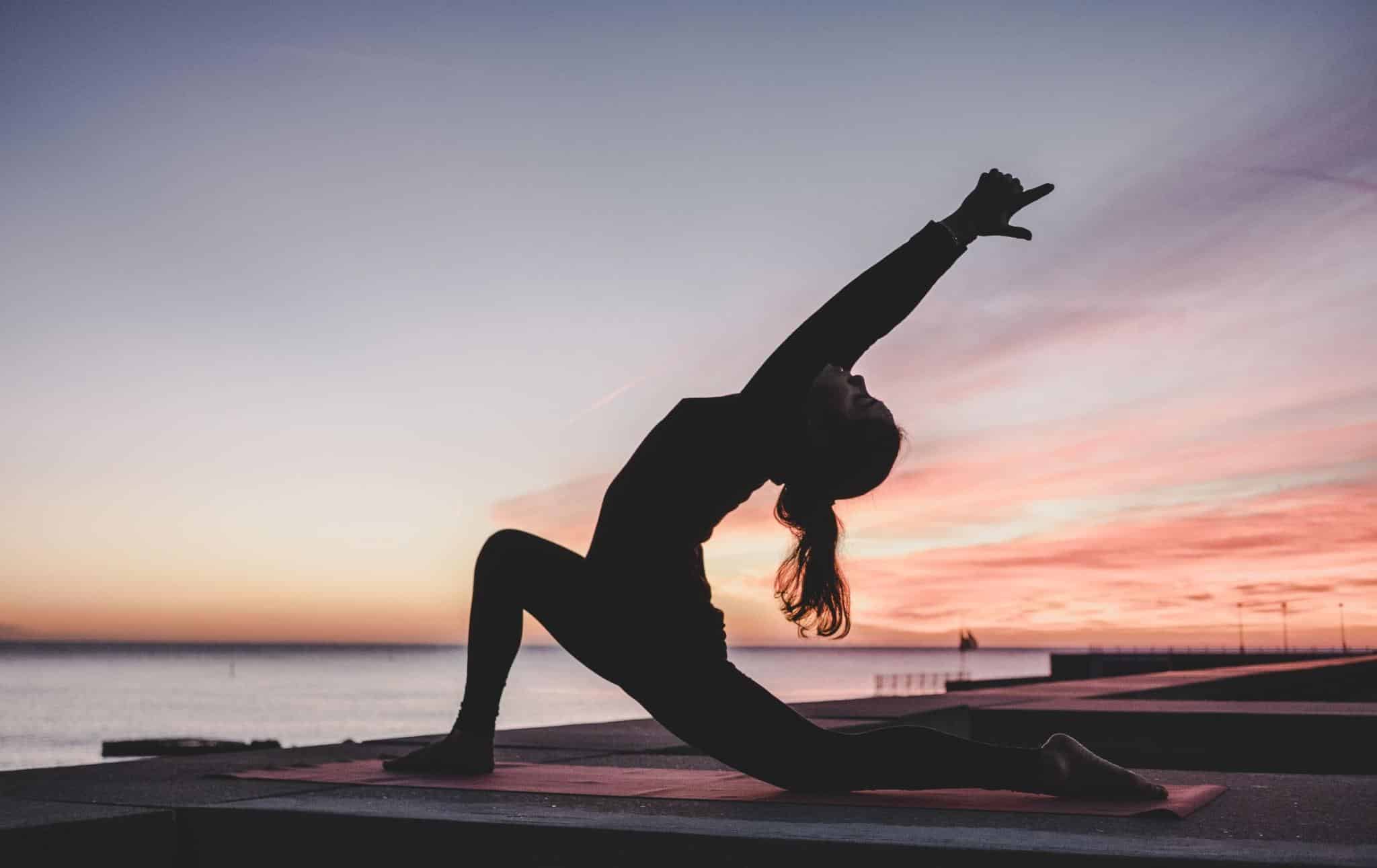 THE SCIENCE OF YOGA 1